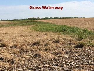 <b>Grain - Specialty Crops (Tomatoes)</b>
Total Acres:  60+/- per Assessor
Tillable Acres:  62.25+/- per FSA<br>
<b>View looking west over the Subject with 7 tower Irrigation System & Well belonging to neighbor.</b><br>
<b>Tenant:</b>  Tuholski Farms, Inc.
<b>Current Lease Terms:</b>  Year to Year
<b>Possession:</b>  After 2016 crops are harvested.
<b>Oil/Mineral Rights:</b>  100%<br>
<b>High School:</b>  New Prairie
<b>Elec. Source:</b>  AEP

 - Specialty Cropland